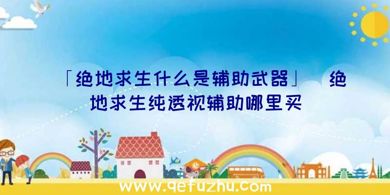 「绝地求生什么是辅助武器」|绝地求生纯透视辅助哪里买